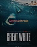 Beyaz Köpekbalığı Full Hd İzle