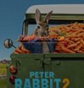 Peter Rabbit Kaçak Tavşan Full Hd İzle