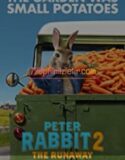 Peter Rabbit Kaçak Tavşan Full Hd İzle