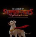 DC Süper Evciller Takımı Full Hd İzle