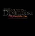 Fantastik Canavarlar Dumbledore’un Sırları Full Hd İzle
