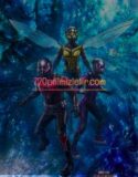 Ant-Man ve Wasp Quantumania Full Hd İzle